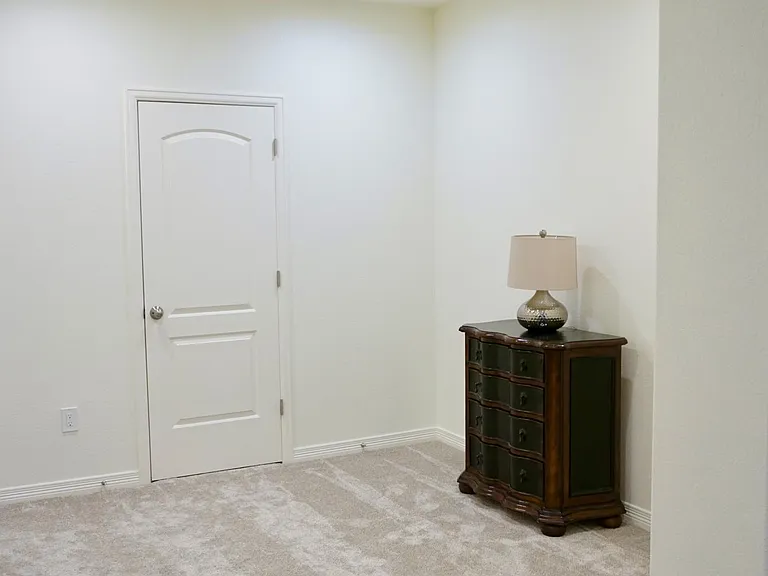 Finished basement (closet/storage behind the door)