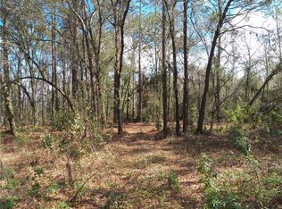 10845 Sherrouse Rd, Lakeland, FL 33809