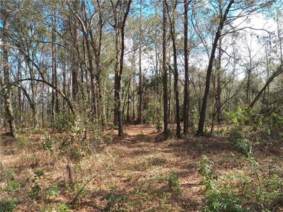 10845 Sherrouse Rd, Lakeland, FL, 33809
