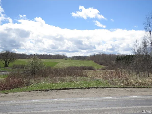 98 Butler Rd, Poland, NY 13431