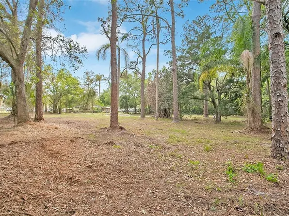 806 Saint Nicholas Ave Lot 13, Christmas, FL 32709