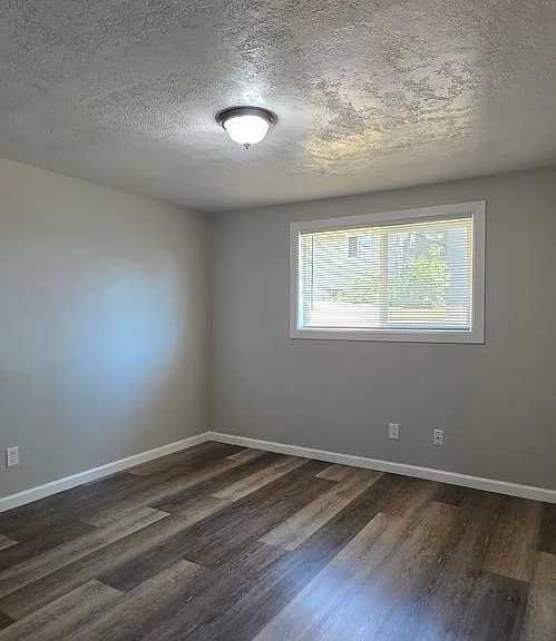 481-Satter Dr — Photo 6