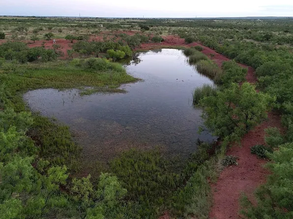County Road 177, Ovalo, TX 79541