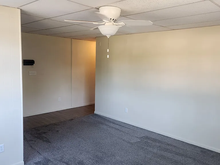 Great Ceiling Fan