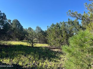 6779 N Santa Fe Rd #424, Williams, AZ 86046