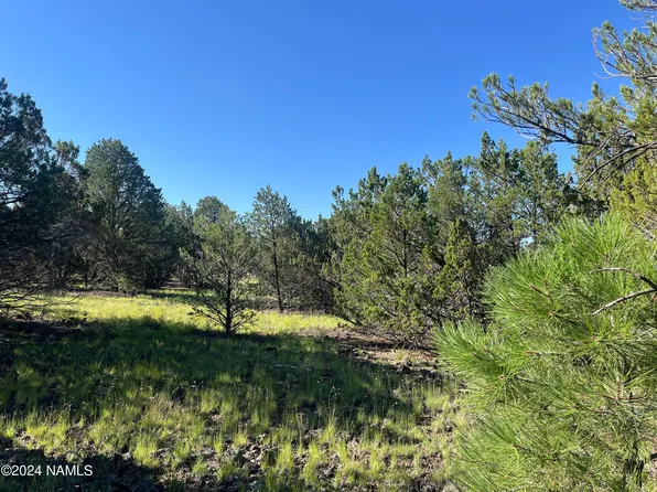 6779 N Santa Fe Rd #424, Williams, AZ 86046