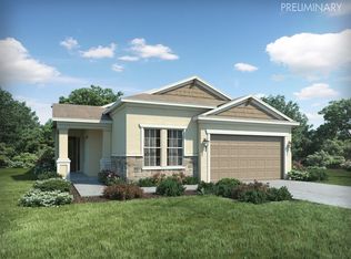 4521 Rolling Greene Dr, Wesley Chapel, FL 33543