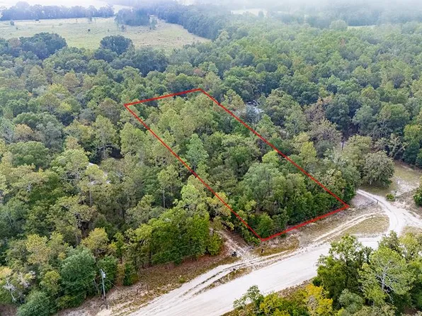 Lot 9 NW 73rd Way, Bell, FL 32619