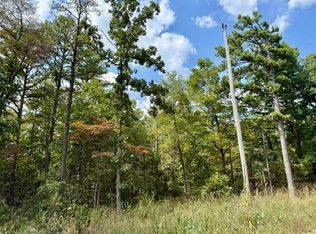000 Texas Tower Road, Licking, MO 65542