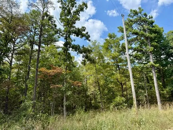 000 Texas Tower Road, Licking, MO 65542