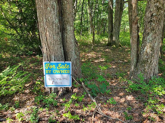 3rd image of 608 Wild Creek Dr