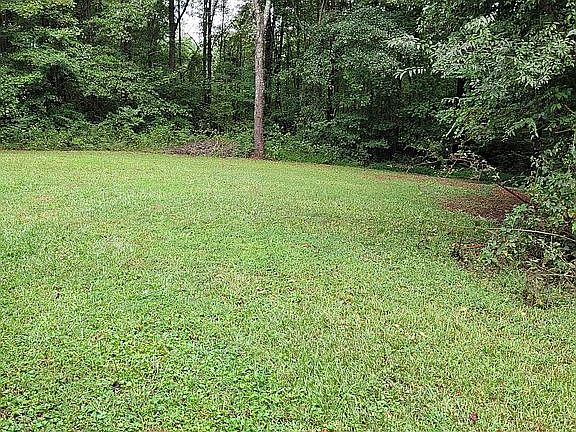 Rear Yard
