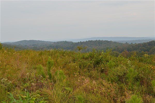 2nd image of 42255 Glendale Rd
