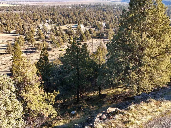 44 & 43 Dwinell Rd, Weed, CA 96094