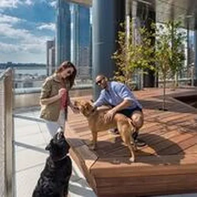 Rented by Extell Marketing Group LLC | media 41