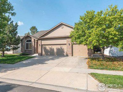 206 Pelican Cv, Windsor, CO, 80550