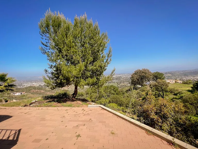 913 Cycad Dr — Photo 7