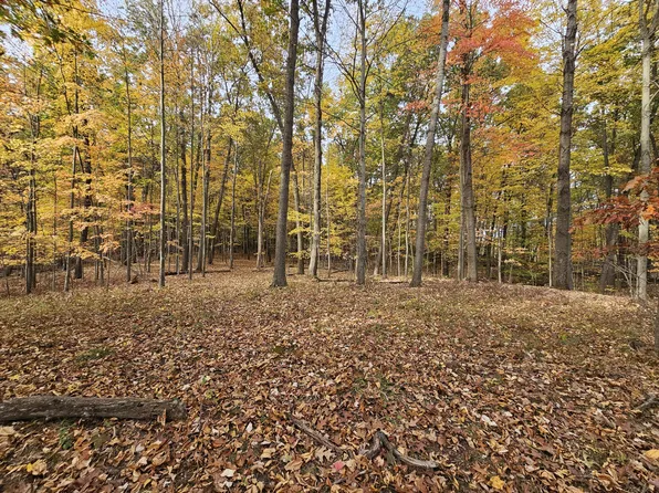 10068 Town Rd, Parma, MI 49269