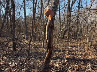 Climer Rd, Golconda, IL 62938