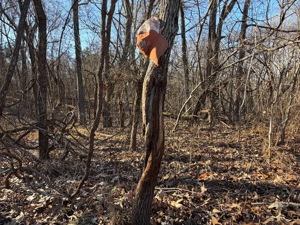 Climer Rd, Golconda, IL 62938