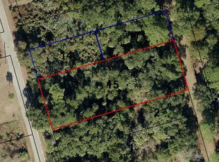 0 Magnolia Avenue, Scottsmoor, FL 32754