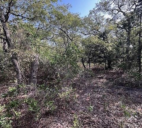 4th image of 657 Sandy Creek Rd