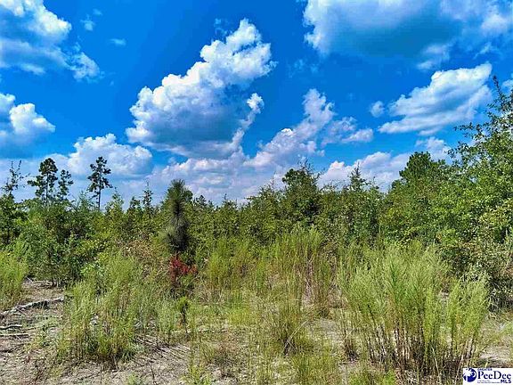 2nd image of 1767 Short Rd