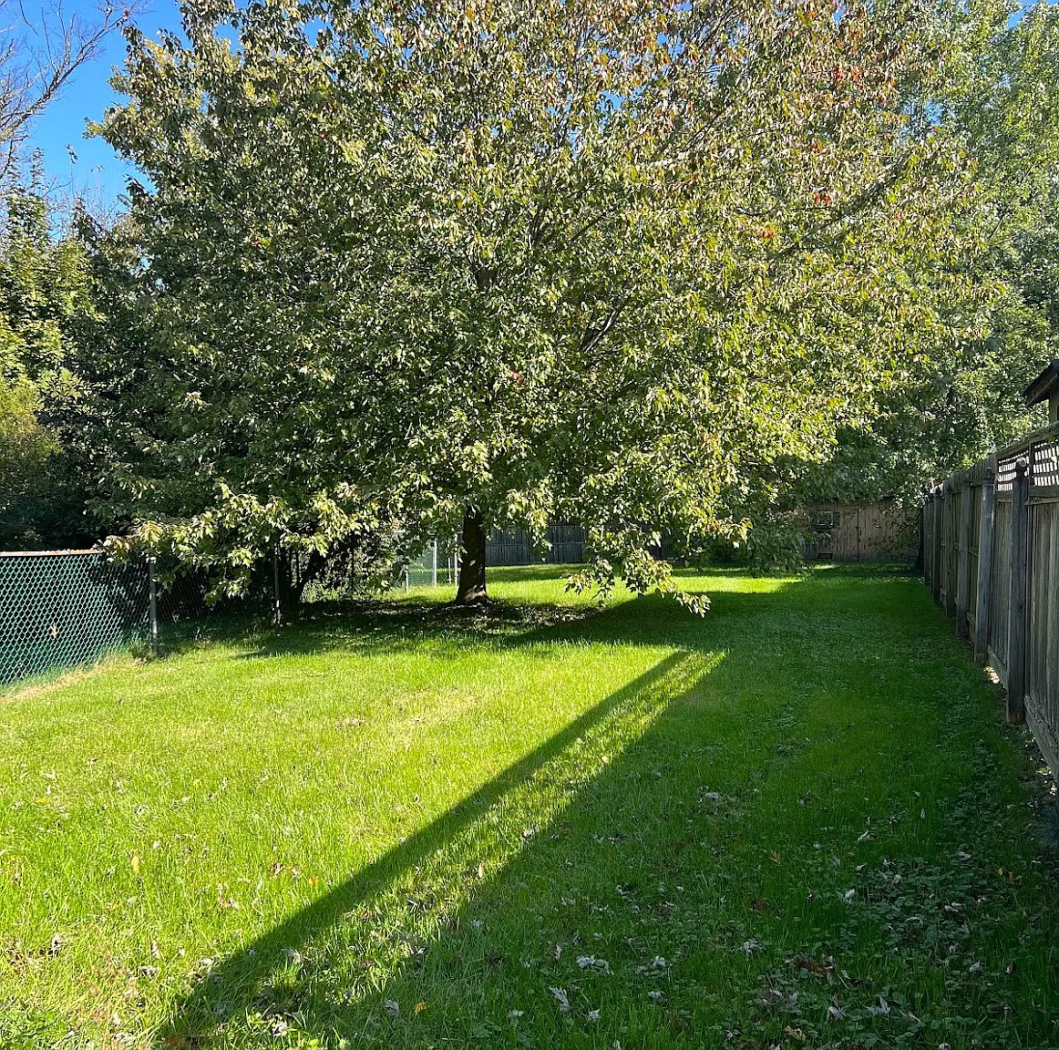 3 bed, 1400 sqft, $2,000 — Photo 2