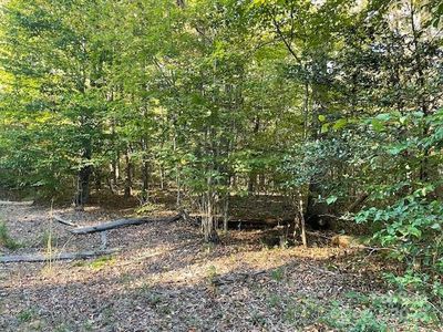 0 Us Highway 70 W, Marion, NC, 28752