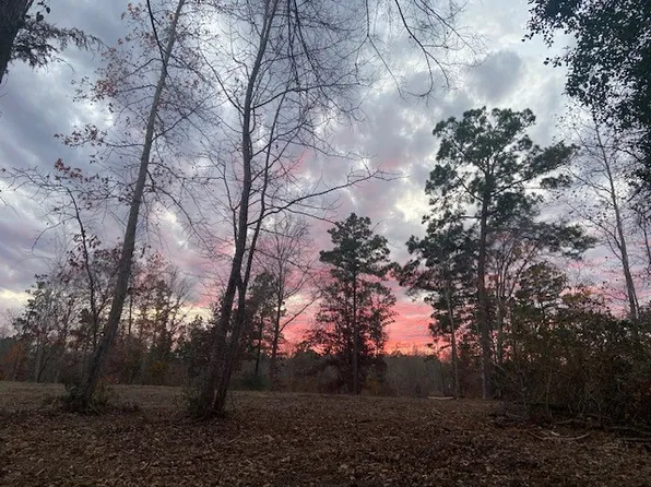 536 An County Rd #1233, Palestine, TX 75801
