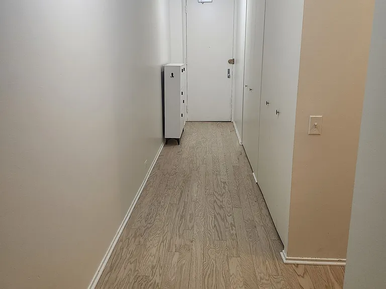 405 N Wabash Ave #1003 — Photo 8