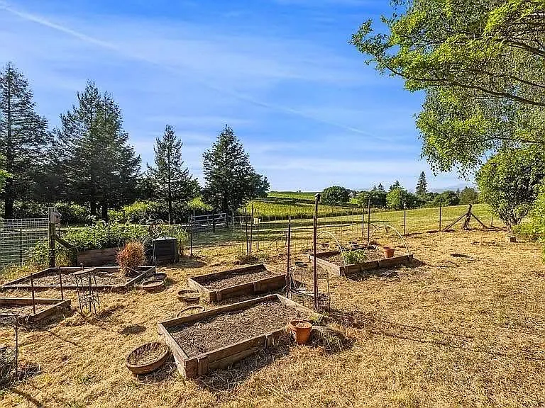 1187 Debbie Hill Rd — Photo 15