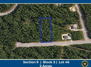 16302 Golden Wood Ct Lot 46, Willis, TX 77378