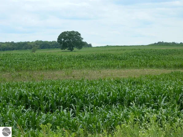 5900 S Coldwater Rd, Remus, MI 49340