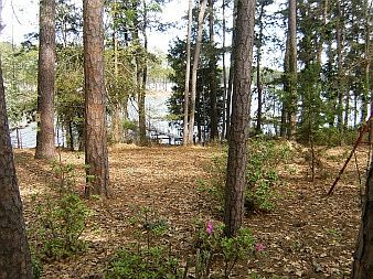 Lakeview