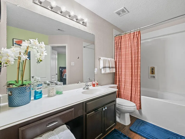 2903 Valiant Scene Ct — Photo 11