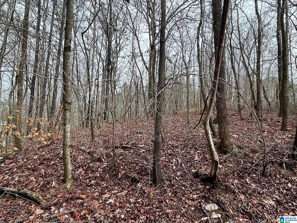 2nd image of 1974 Websters Chapel Rd #0