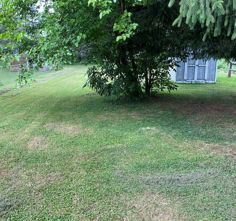 2nd image of 436 Pine St