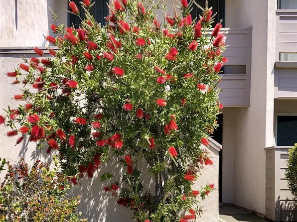 3254 Ashford St Unit H, San Diego, CA 92111