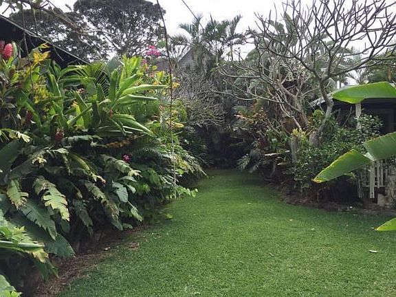 shared enclosed yard