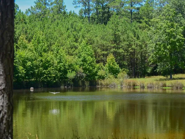 0 Hamilton Rd, Ninety Six, SC 29666