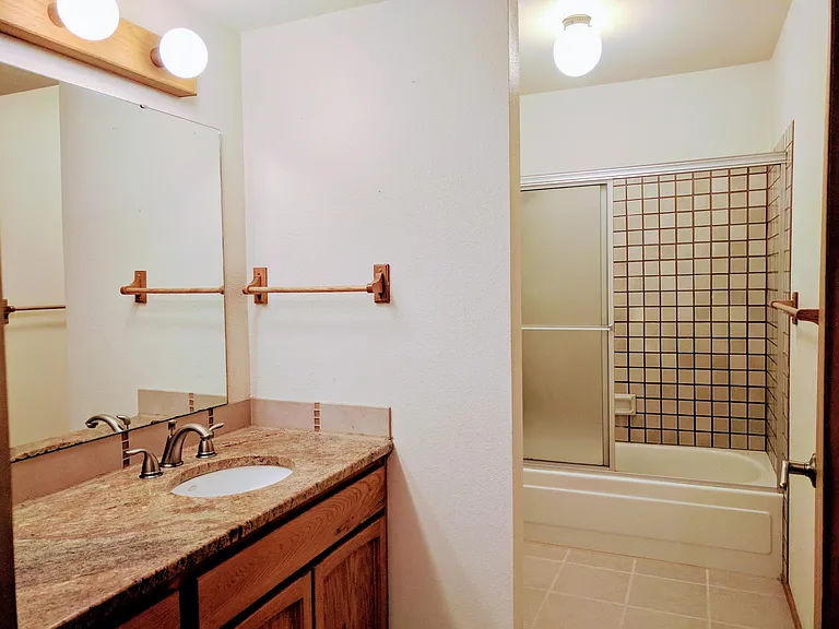 The full bathroom on lower level.