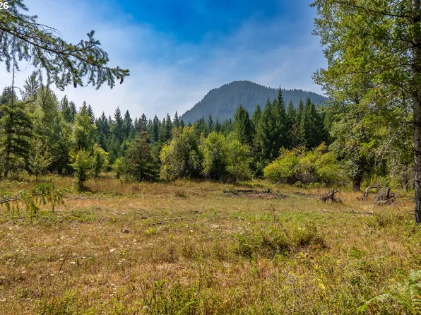 Hawk Meadows Rd #5, Carson, WA 98610
