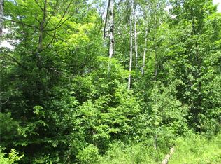 LOT 16 Lake Winter Rd, Winter, WI 54896