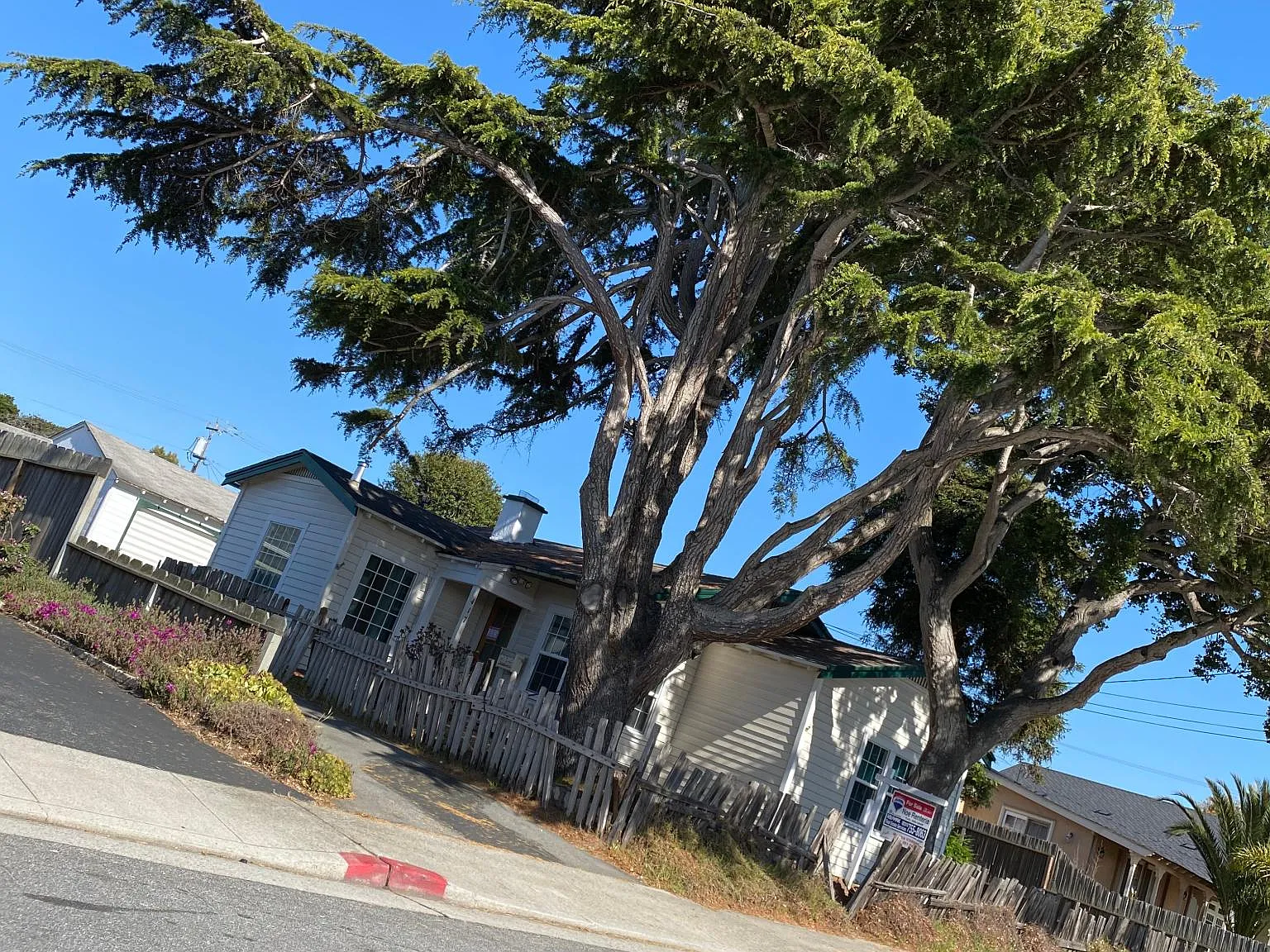 417 Alcalde Ave — Photo 3