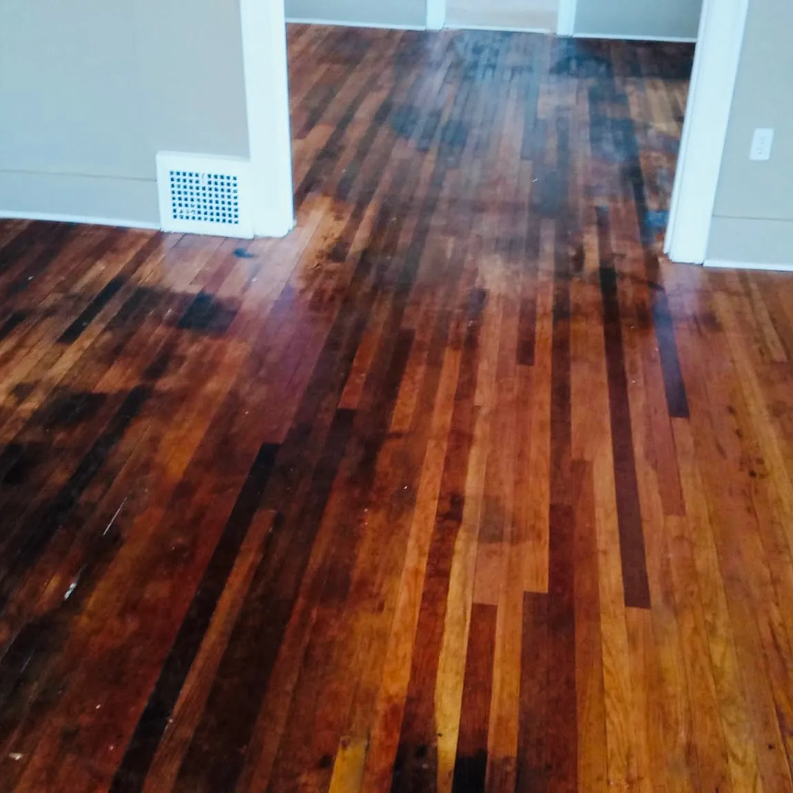 3 bed, 1.5 bath, 1200 sqft, $1,300 — Photo 3