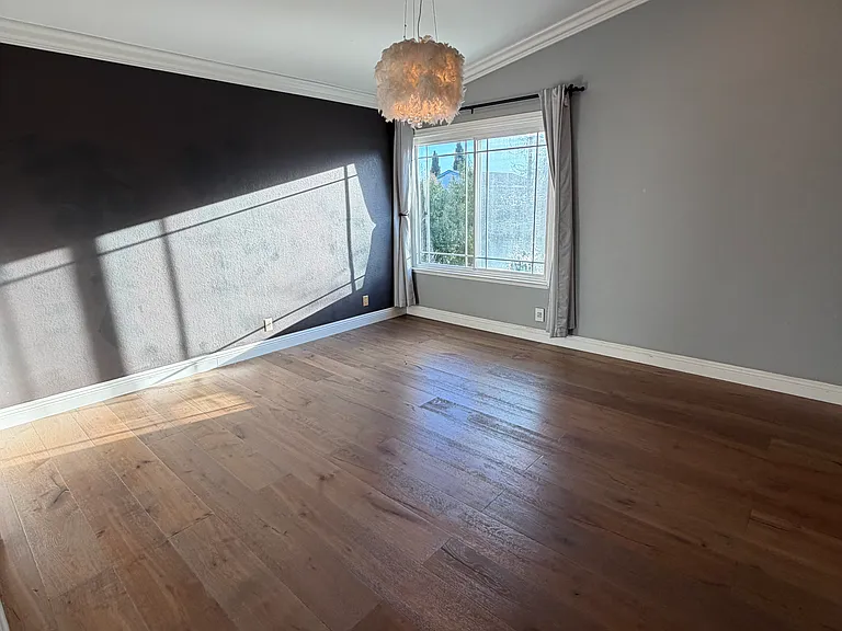 33514 Stephano Ct — Photo 11