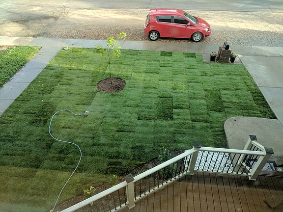 Front Yard