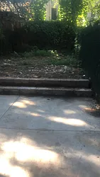 Rented by NY Living Solutions