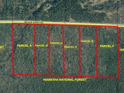 PARCEL Black Point Rd #C, Moran, MI, 49760